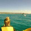 Kayaking with Dolphins