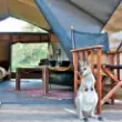 Nightfall Camping Nightfall Camping