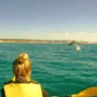 Kayaking with Dolphins Kayaking with Dolphins